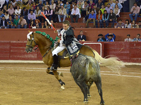 Encelando en los medios