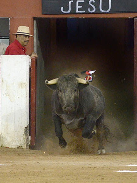 Salta Jes� a la arena