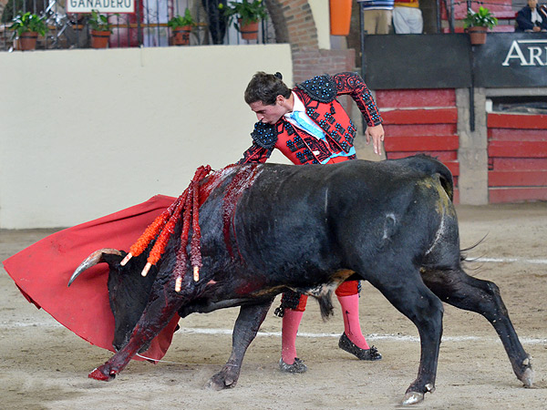 D�ndole su lidia correcta