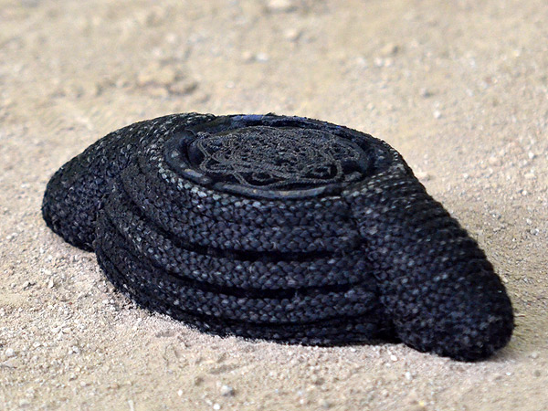 Reposando en la arena