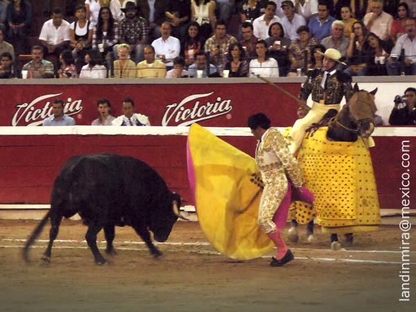 Dej�ndolo al puyazo