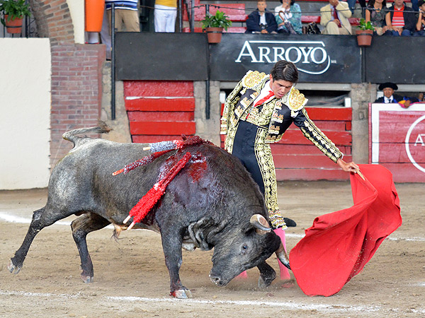 Digna y solvente actuaci�n