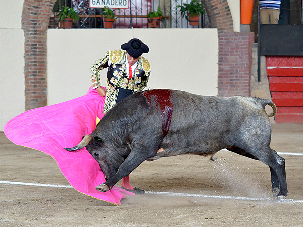 Efr�n Rosales y un toro bravo