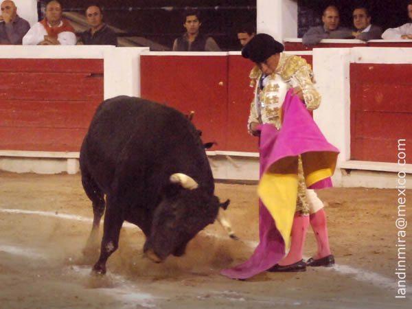 Zotoluco inicia la lidia ordinaria