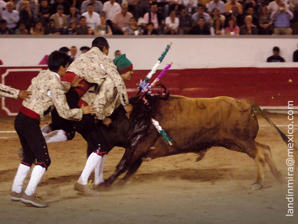 Los Forcados Potosinos