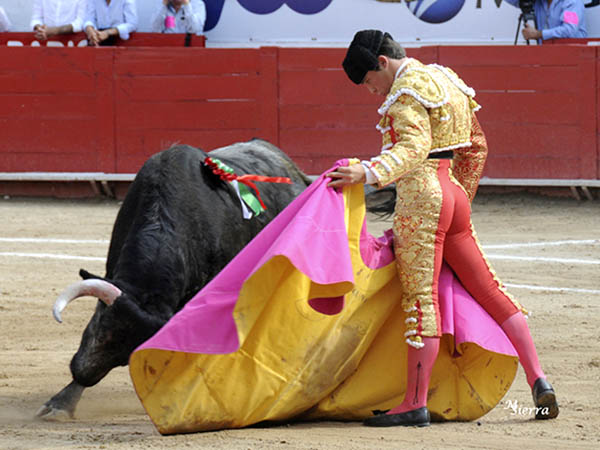 Ver�nicas queretanas