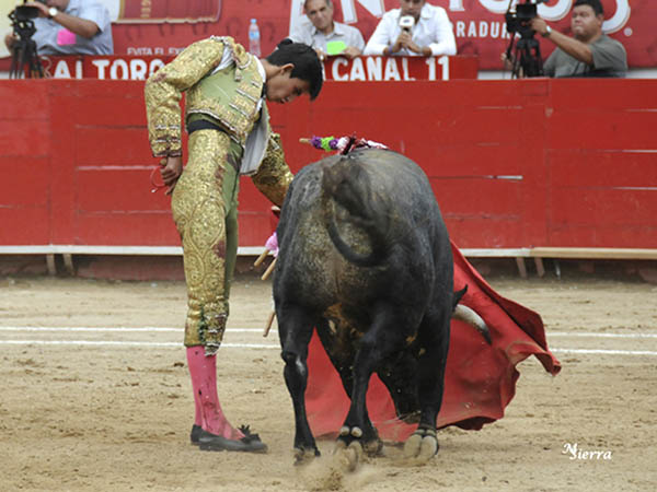 El ejemplar no tuvo mucho juego