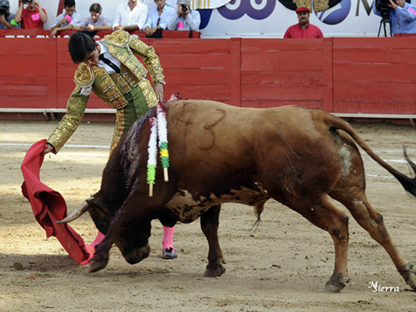 Una faena larga del joven de Aguas