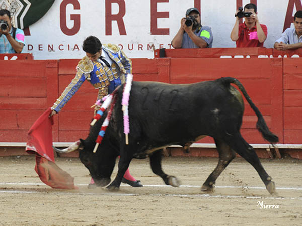 Ejemplar medido de fuerzas