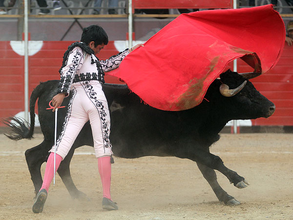 Pas�ndose todo el Toro