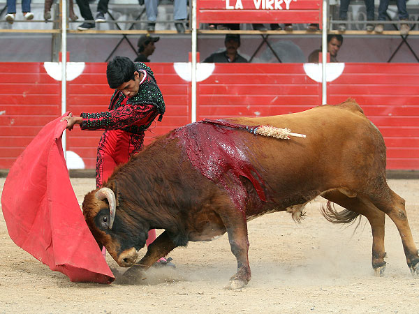 Bien toreado el de pecho