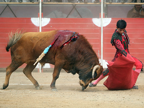 Inicio muy torero