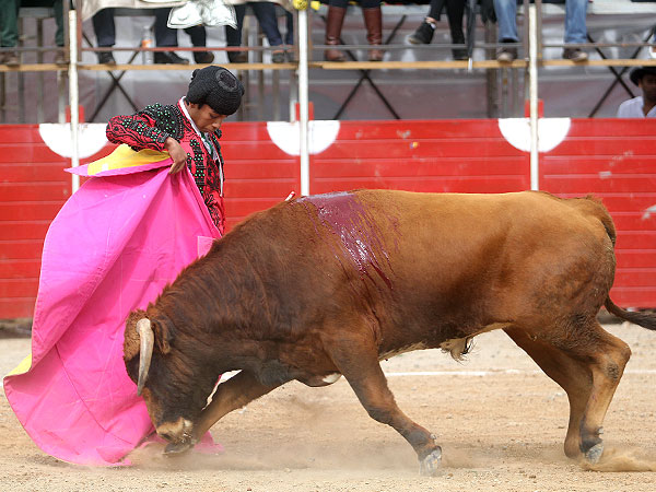 Sabasti�n Palomo, pinturero