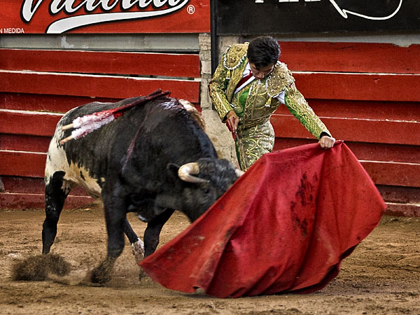 Sal�a con la cabeza arriba