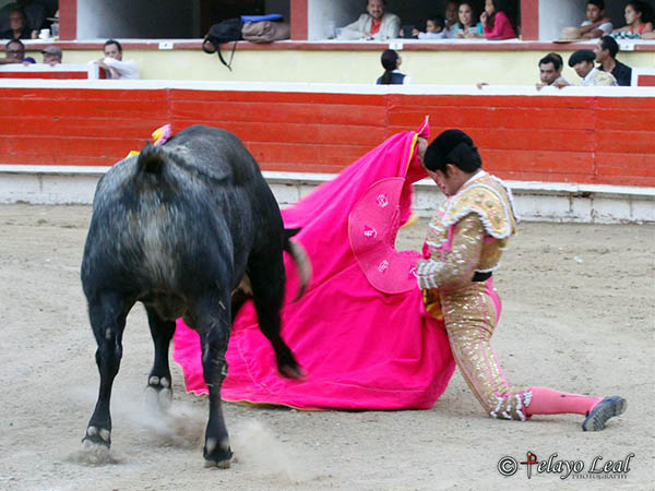 Ver�nica rodilla en tierra