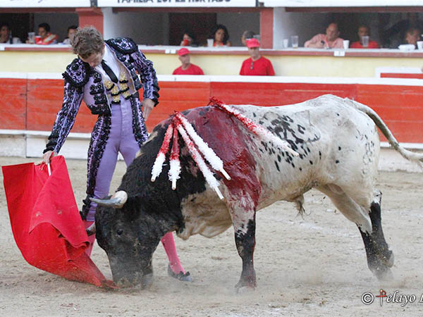 Esforzado el diestro