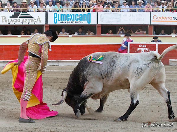 Los belfos en la arena