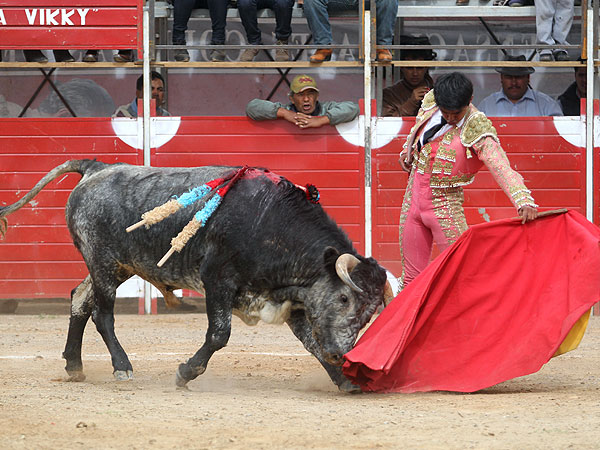 Metido en la muleta