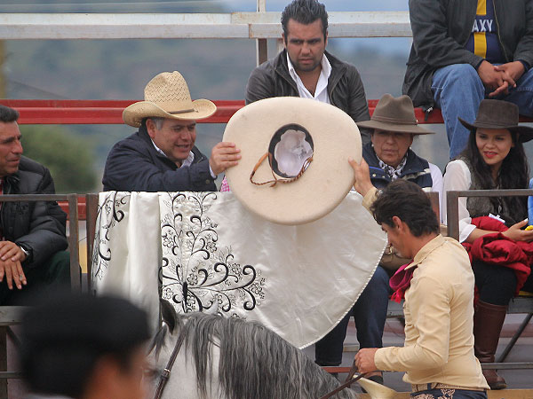 Agradeciendo la oportunidad