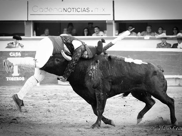 Espectaculares mazatlecos