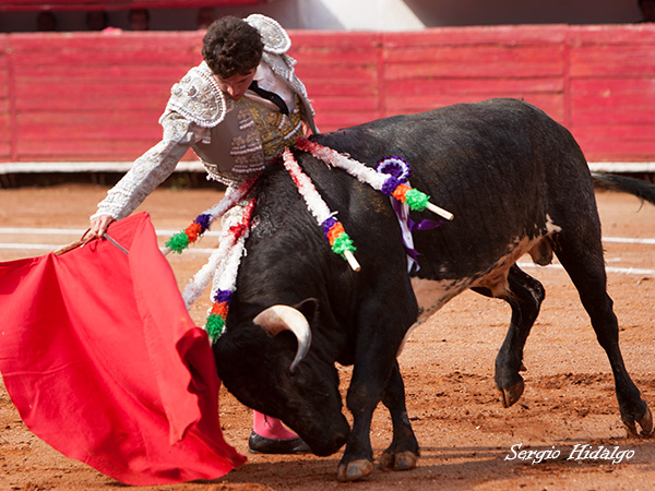 Diego Emilio, a paso firme