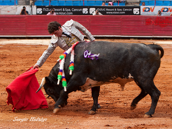 Templando la embestida