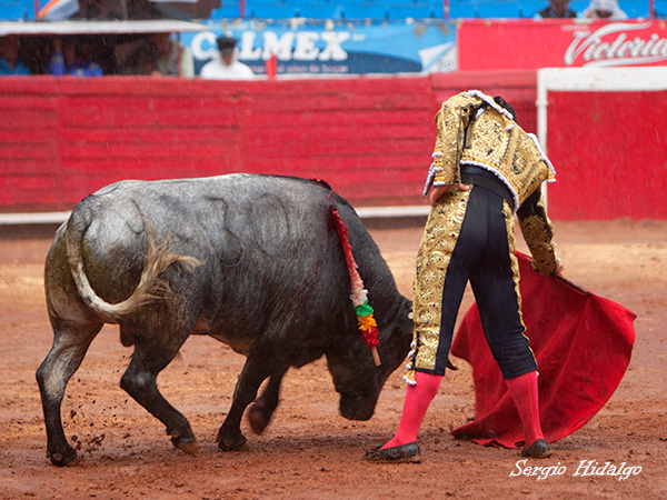 Buscando hacer faena