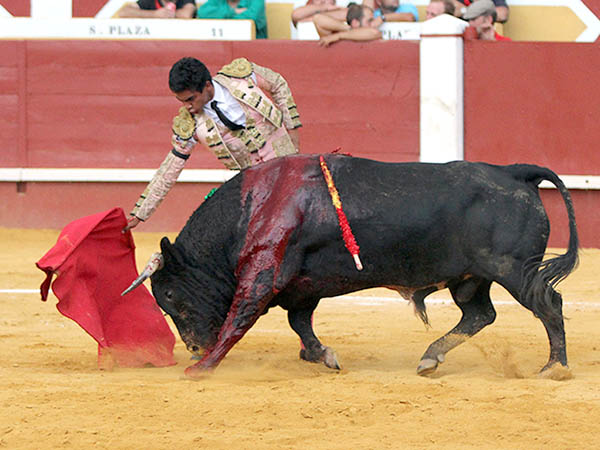 Llev�ndolo toreado