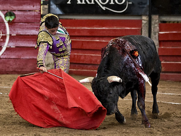 Ense��ndole el camino