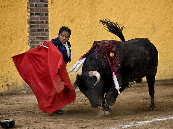 Tratando de someterlo