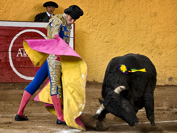 Lo lanceo bien con el capote