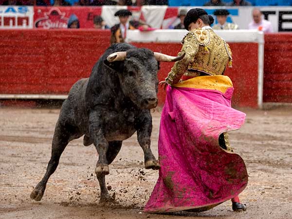 Aguantando la embestida