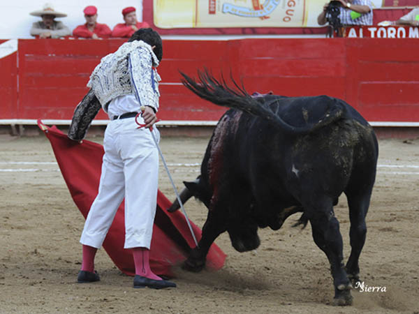 En la l�nea del cloroformo