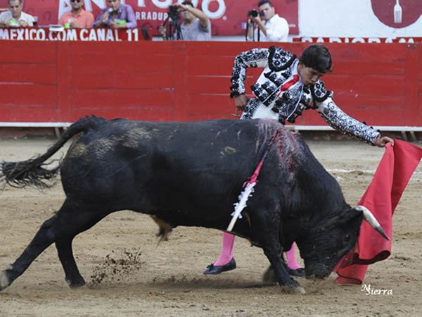 Trasteo inteligente y serio