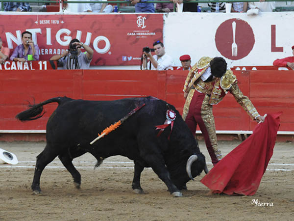 Su segundo, el mejor ejemplar