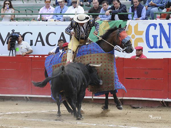 La maestr�a de David