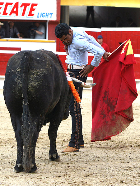 Garibay s�lo pudo porfiar