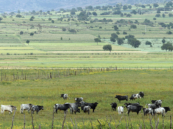 Bello Paisaje Tlaxcalteca