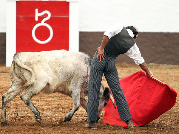 Quebrando la cintura