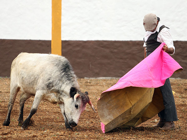 Mateos un torero artista