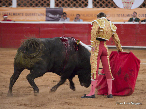 Firmeza de procedimientos