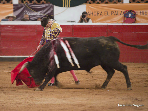 Provoc� inter�s en el tendido