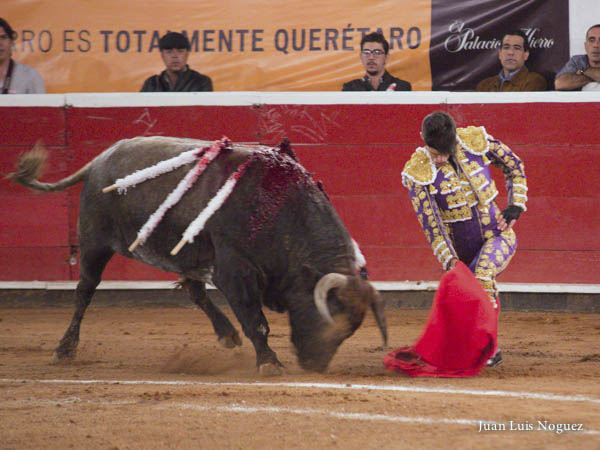 Calibrando al c�rdeno