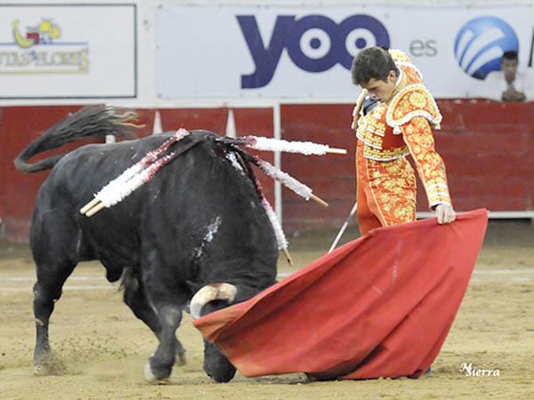 Sirvi� para saborear buenas maneras