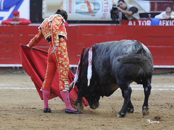 Paciencia y torer�a