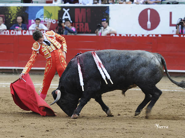 Hay que decirlo, un toro suertudo