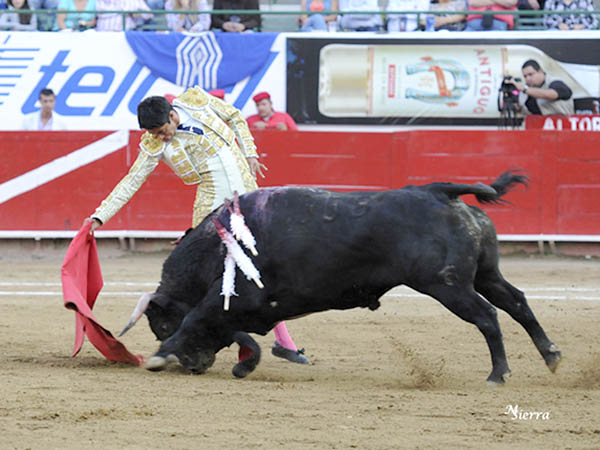 Faena plena de entrega