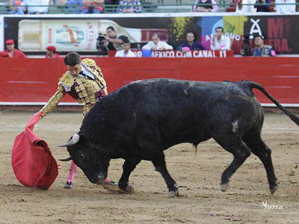 Es un torero recio