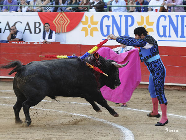 Gustavo en rehiletes