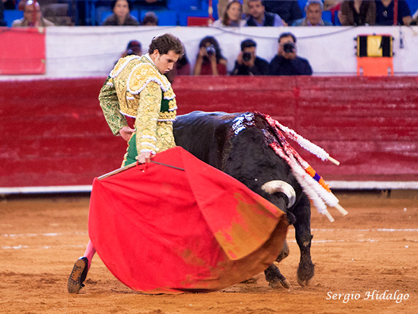 Creciendo como torero